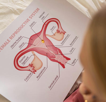 Simptome torsiune ovariana ➜ Cauze torsiune de ovar ➜ Factori de risc ➜ Diagnostic ➜ Afla mai multe!