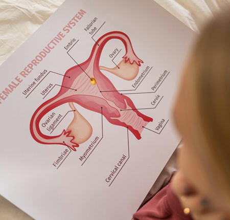 Testosteron la femei ➜ Testosteron marit / crescut si scazut la femei ➜ Tratament pentru dezechilibrele testosteronului la femei ➜ Afla mai multe!