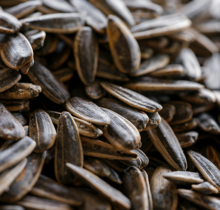 Care este rolul Vitaminei E in organism ➜ Beneficii Vitamina E ➜ In ce alimente gasim vitamina E 