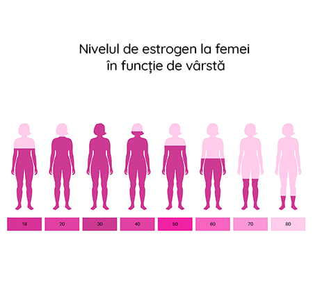 Ce este estrogenul? ➤ Estrogen natural vs. sintetic ➤ Estrogen crescut / scazut ➤ Estrogenul si menstruatia ➤ Descopera mai mult!