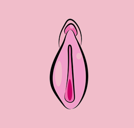  TOTUL despre vagin ➤ Anatomie ➤ Tipuri de vulva & vagin ➤ Dimensiuni ➤ Vaginul dupa nastere ➤ Mituri & curiozitati ➤ Afla mai multe aici!